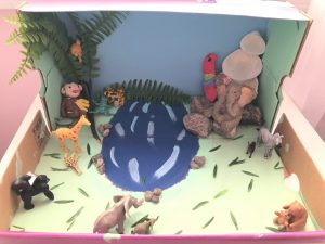 Elementary rainforest project
